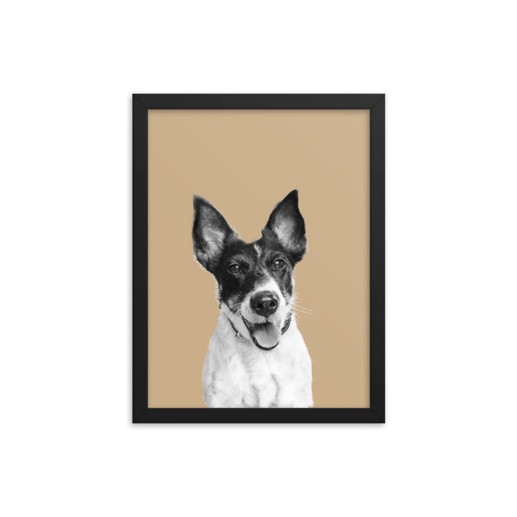 Black and White style pet portrait
