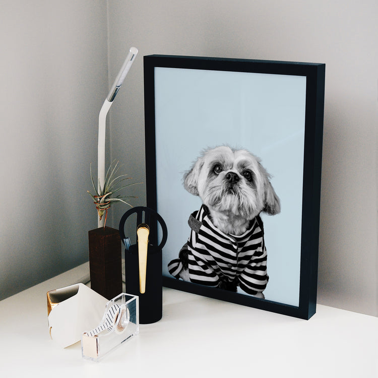 Black and White style pet portrait