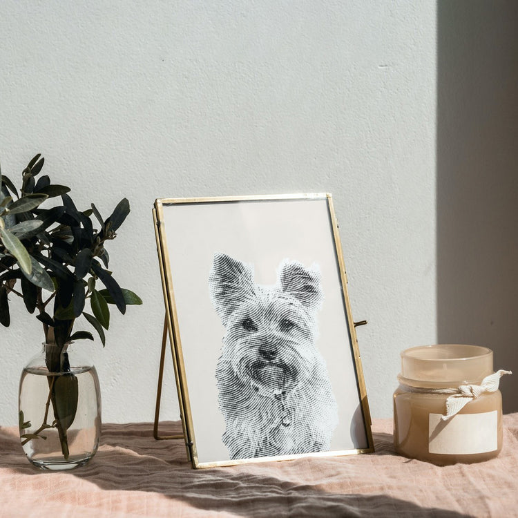 Engraved style pet portrait